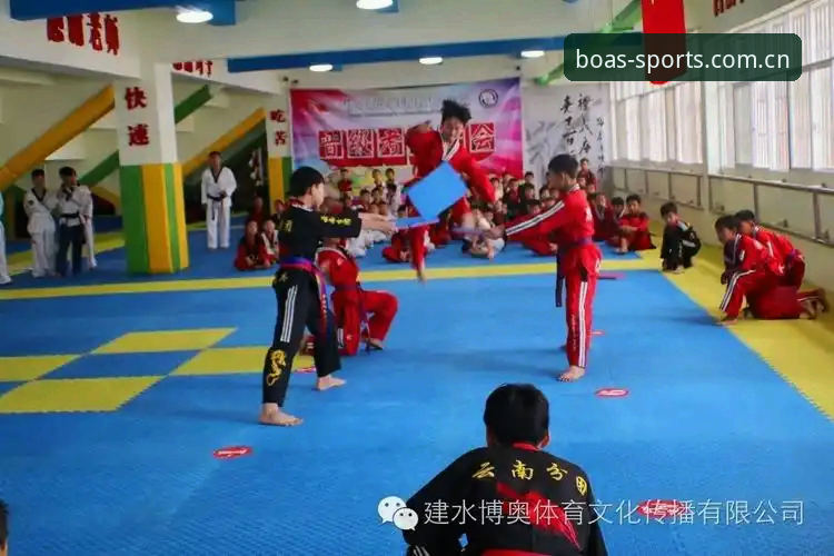 博澳体育登录 如何让博澳体育登录更顺畅?从官网正版下载到多端适配的深度拆解